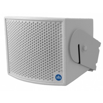 Компактный четырехдюймовый коаксиальный двухполосный громкоговоритель пассивного типа, цвет белый RENKUS-HEINZ CX41W